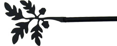 Acorn Curtain Rod
