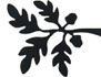 Acorn Curtain Rod