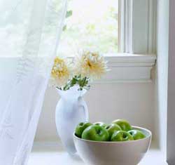 Window Treatment Ideas 