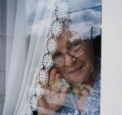 French Lace Curtains